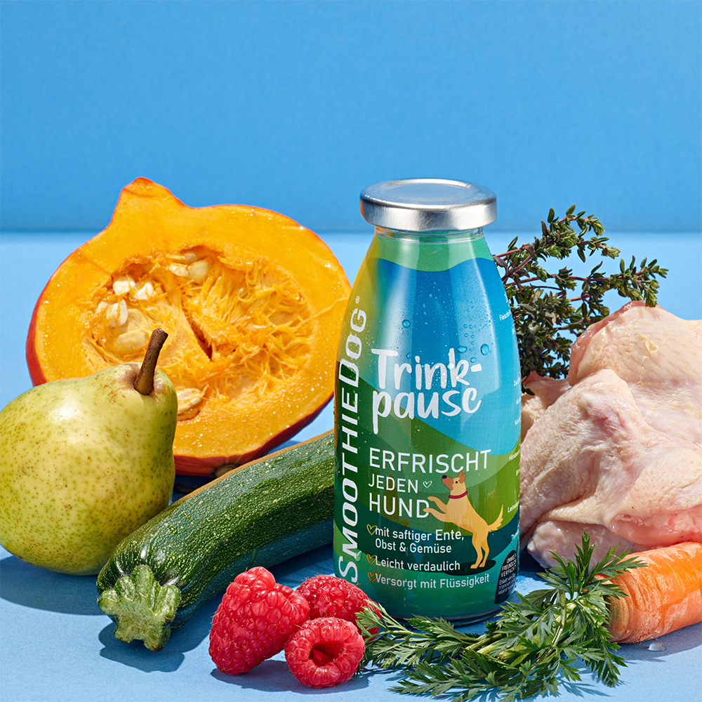 SmoothieDog Test 2026: Erfahrungen & Rabattcode