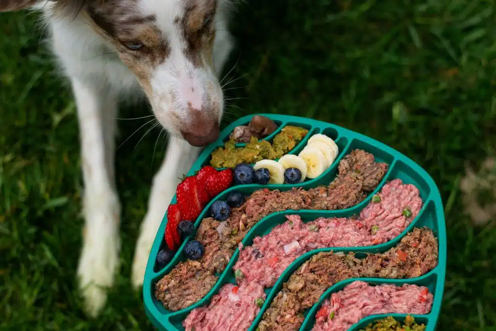Haustierkost Test | Promo Codes for Pets