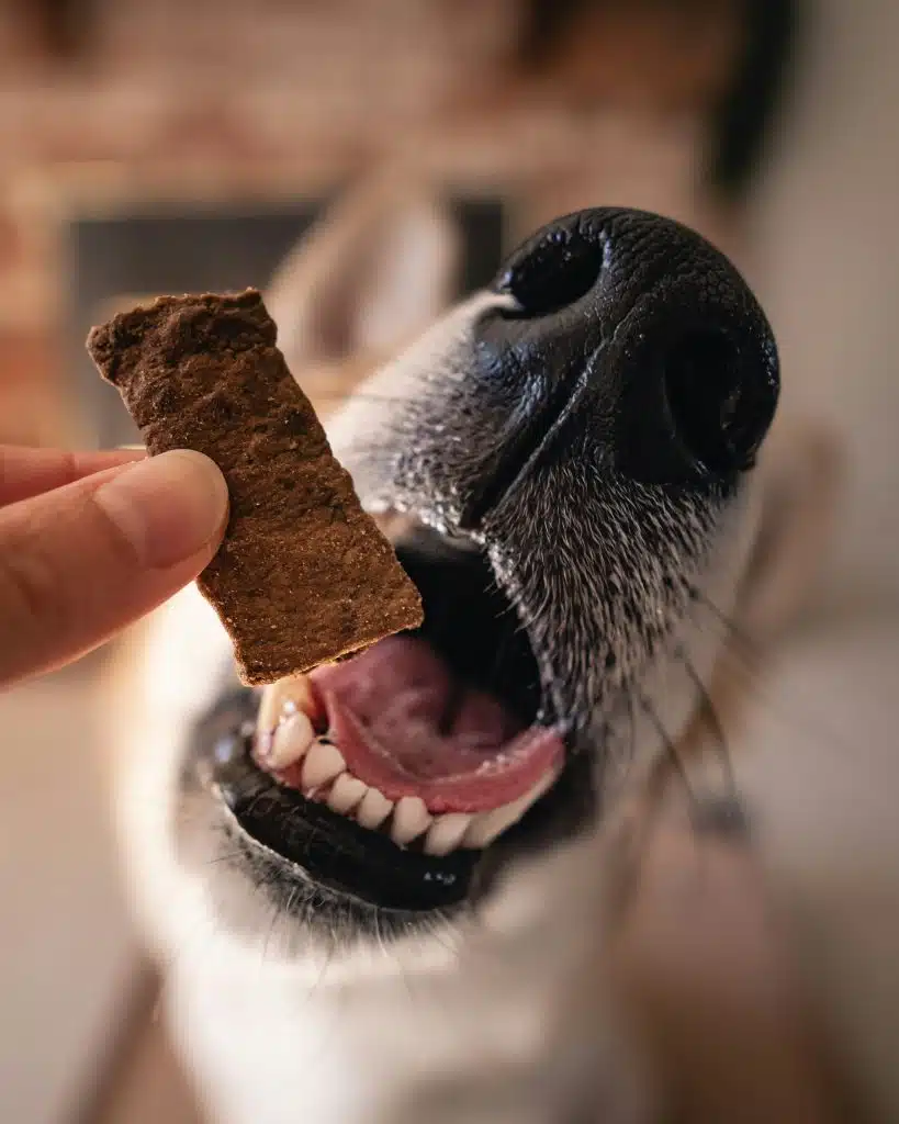 Hundefutter Rabattcode | Promo Codes for Pets