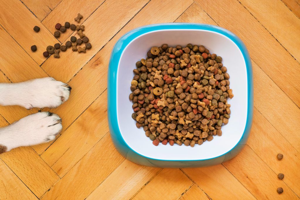 Hundefutter | Promo Codes for Pets