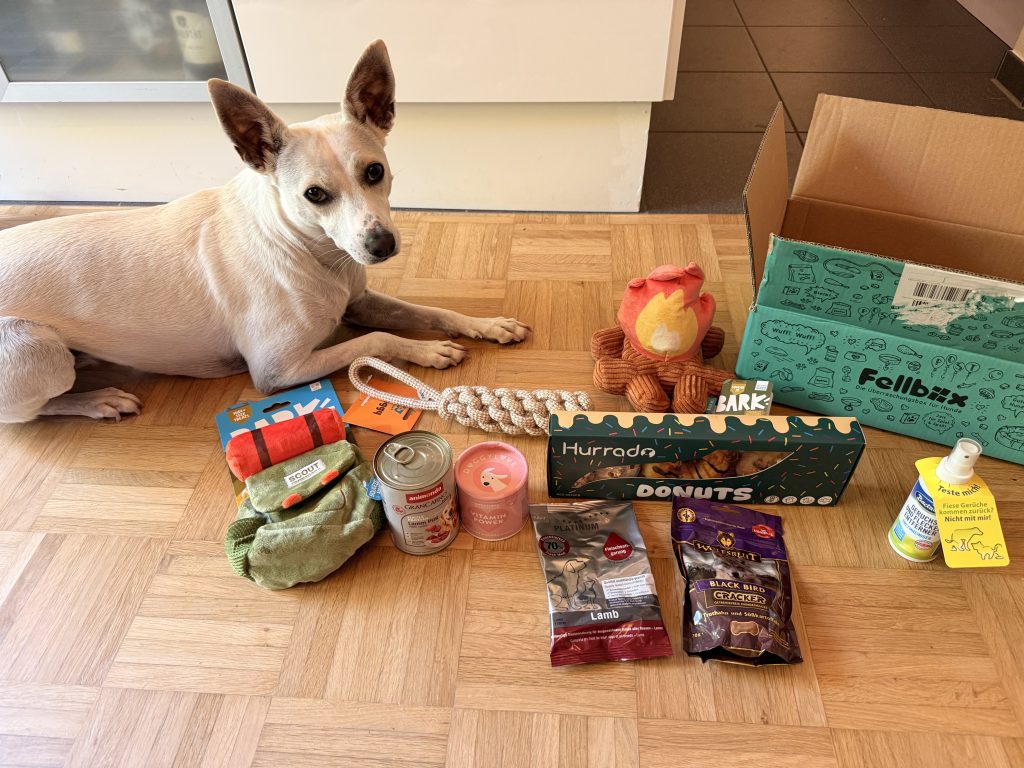 Fellbox Test 2026: Überraschungsbox & Rabatt