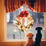Hundekekse selber backen: 5 einfache Rezepte für die Adventszeit